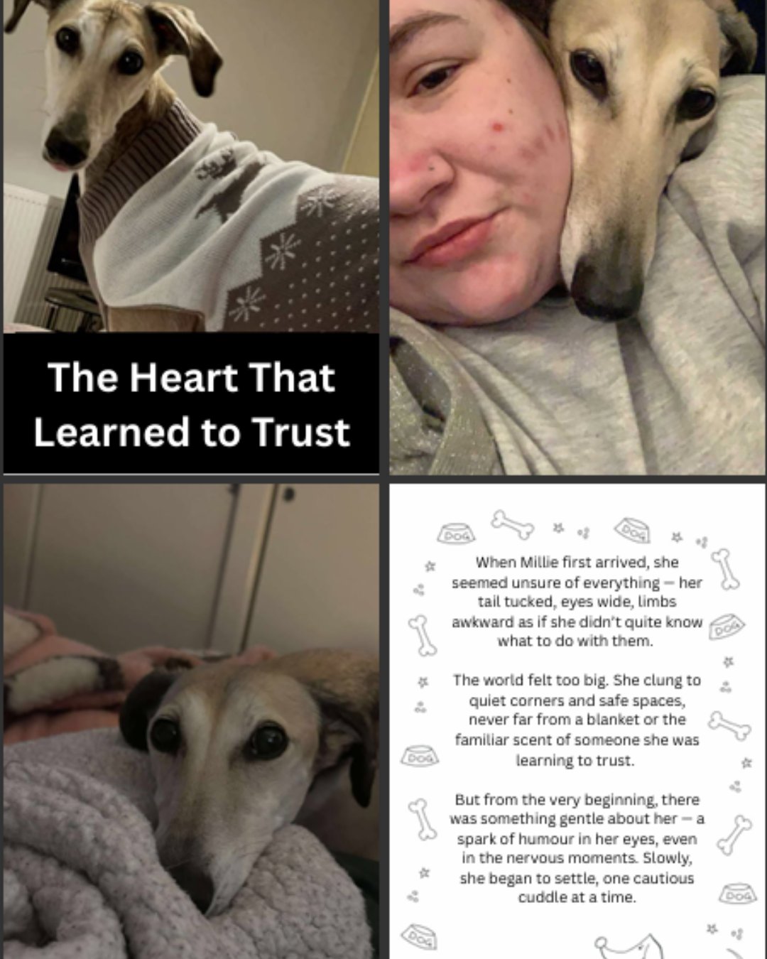 Custom Pet Story Book