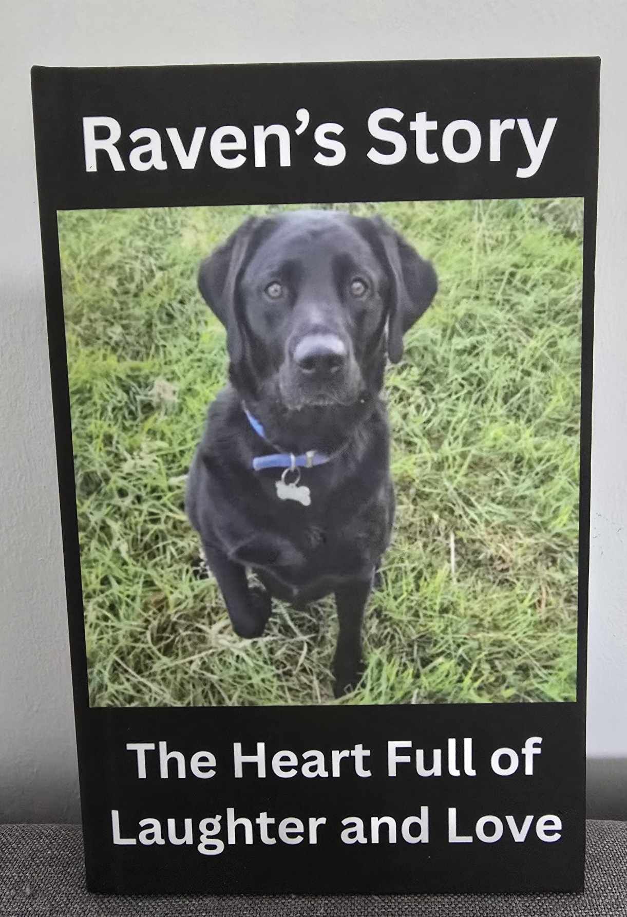Custom Pet Story Book