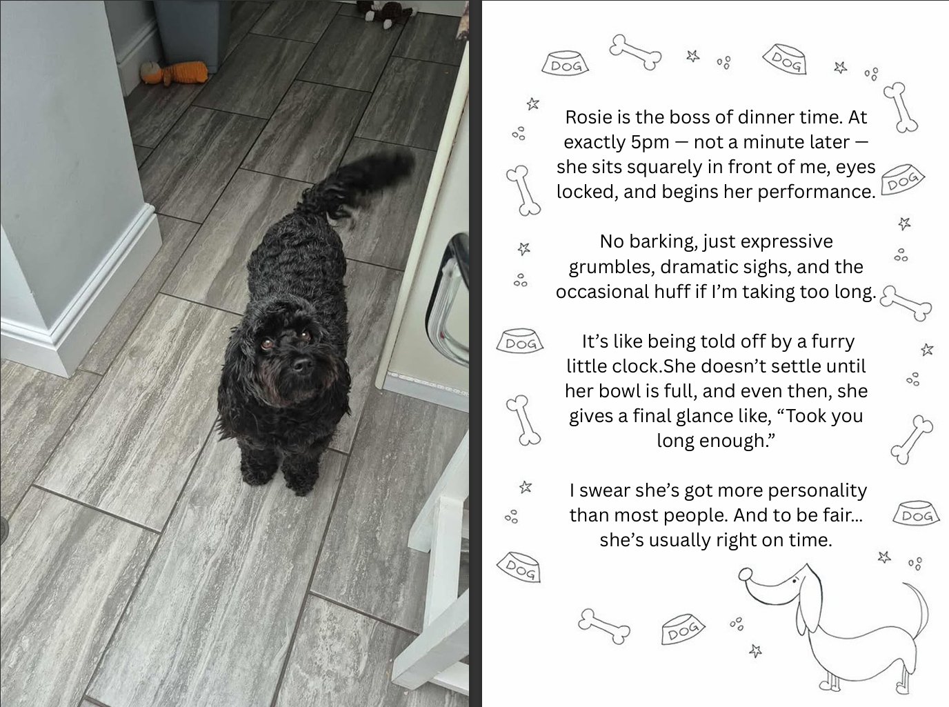 Custom Pet Story Book
